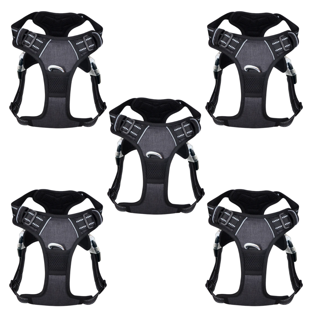 PawSafe No-Pull Dog Harness multi pack